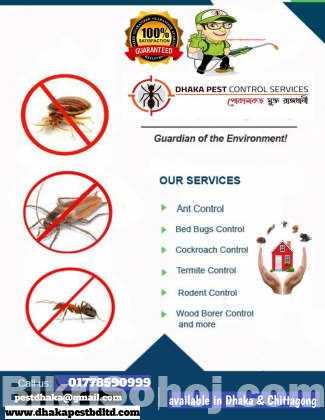 Termite Control Service Dhaka Bangladesh